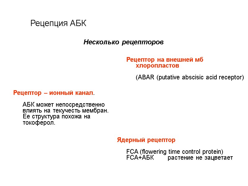 Рецепция АБК Несколько рецепторов Рецептор – ионный канал.    АБК может непосредственно